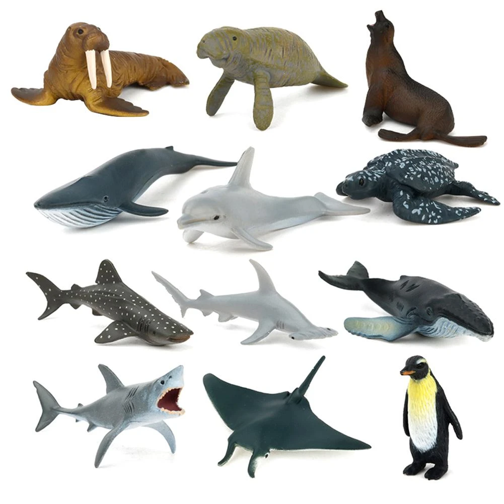 12pcs Sea Lifes Animals Model Action Figure Simulation Wild Ocean Fish  Model Simulated Marine Animal Model Whale Narwhal - Biology - AliExpress