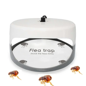 

Flea Trap Bugs Sticky Board Catching Flea Insect Killer Household Insect Catcher Trap Lamp Non-toxic Pest Traps Hot