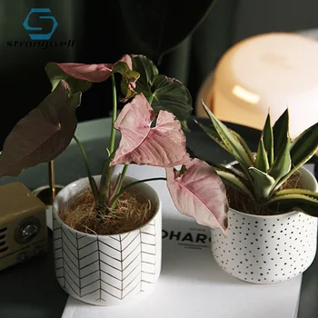 

Strongwell Nordic Round Spots Ceramic Flower Pot Indoor Desktop White Porcelain Succulent Flowerpot Garden Modern Home Decor