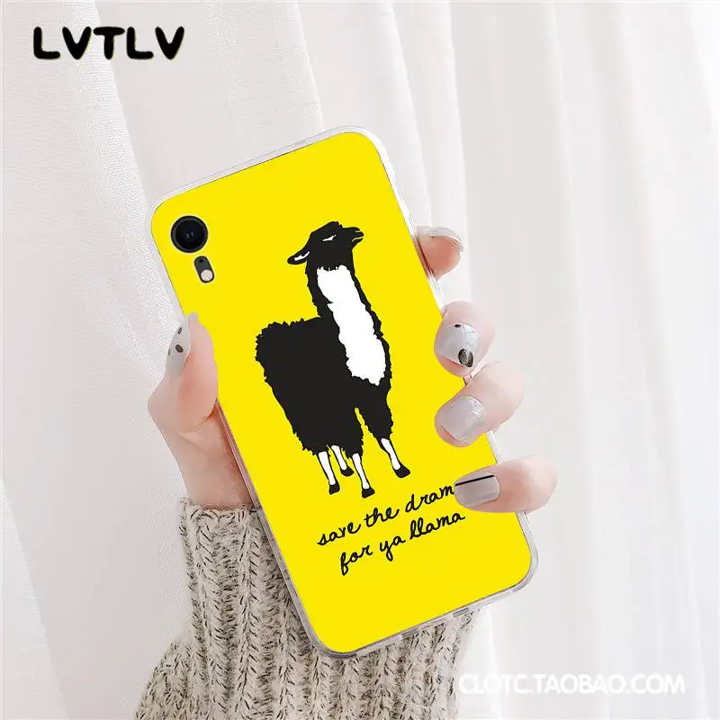 Lama Llama Alpacas Animal