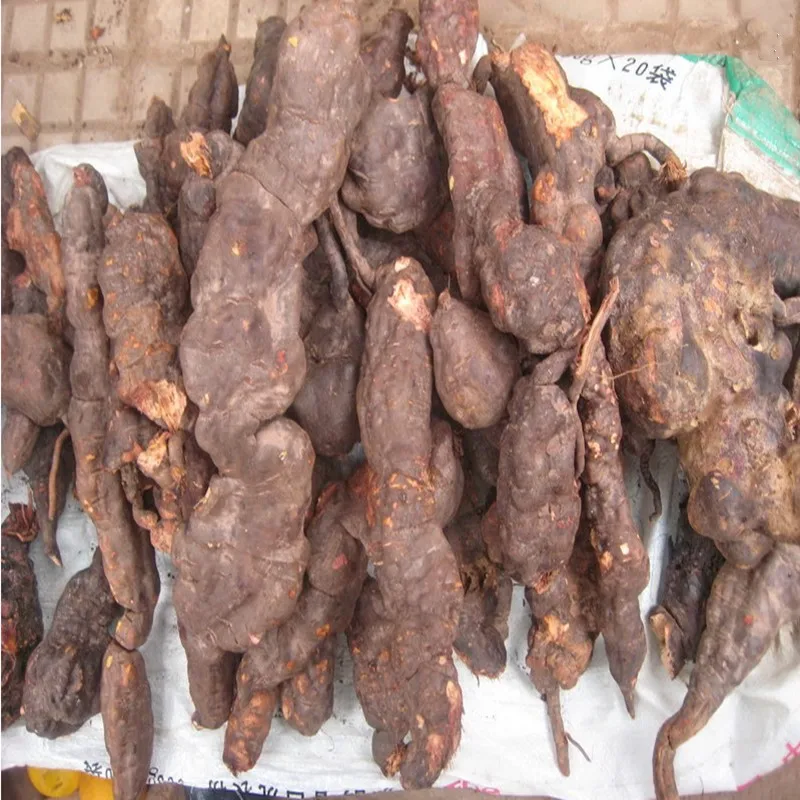 Polygonum multiflorum Fo-ti экстракт порошка Праздничные наклейки Топ Набор аксессуаров для волос резинки для роста задержка старения клип