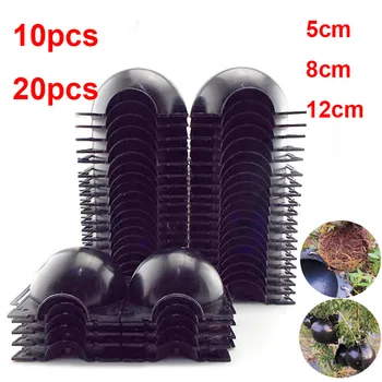 

10/20pcs Plant tree Rooting Ball Root box plastic case propagation Box Grafting Rooter Growing High-pressure breeding ball