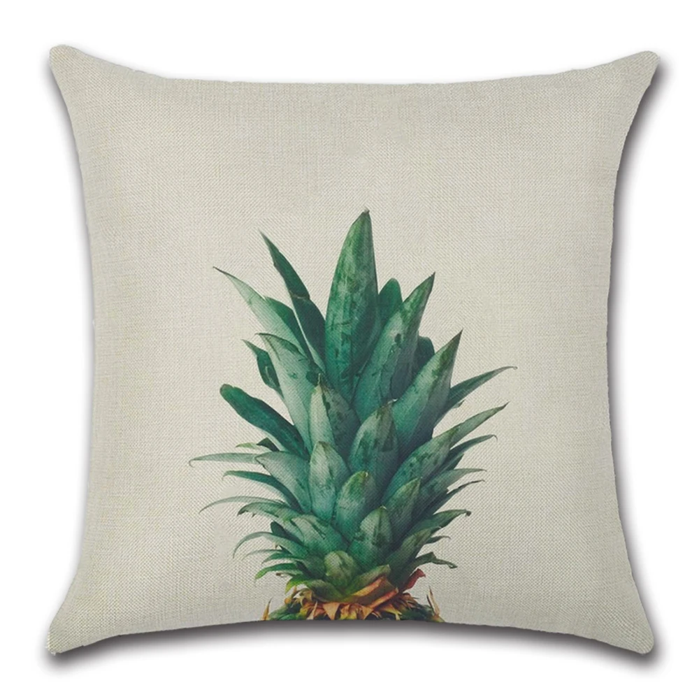 1545720623069_热带植物18