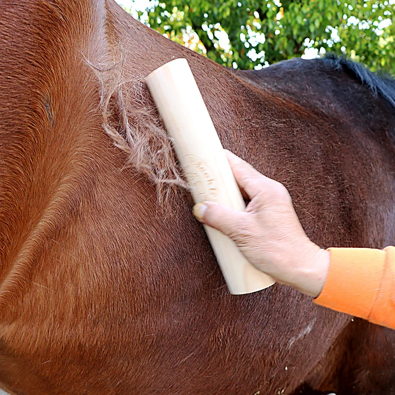 Horka Equestrian Hard Power Brush Horse Dirt Sweat & Lose Hair Remover Equipment 