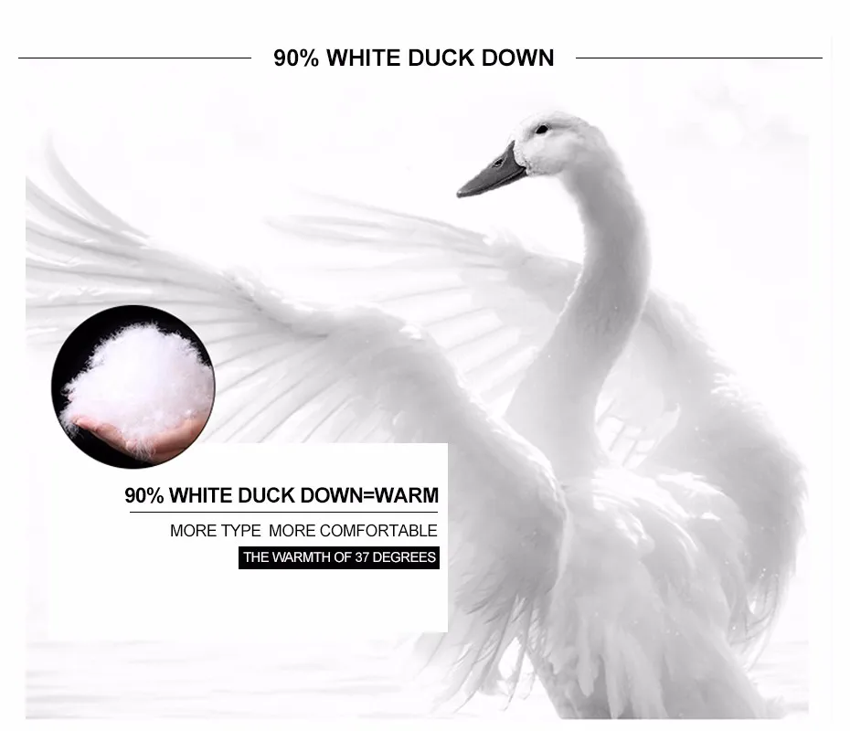 HTB1VDU6XsfrK1Rjy1Xdq6yemFXaC