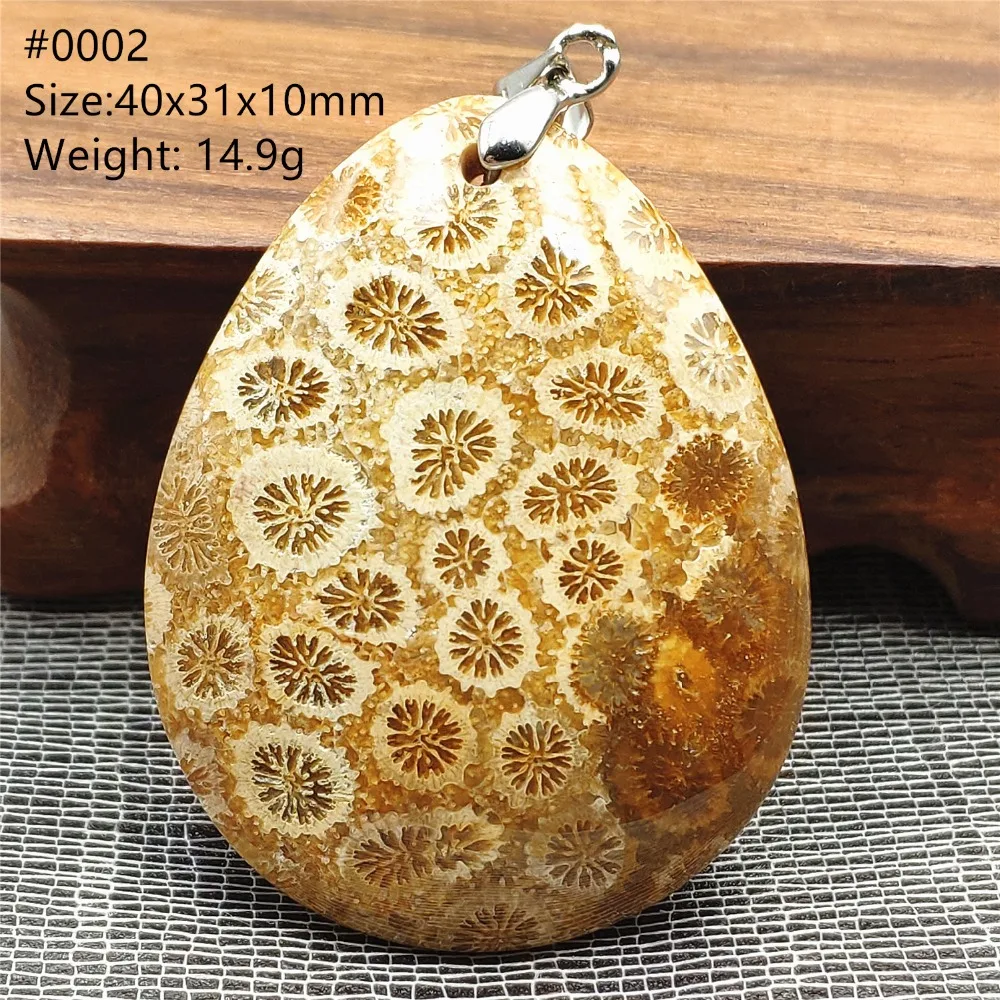 SHP0002 (1)