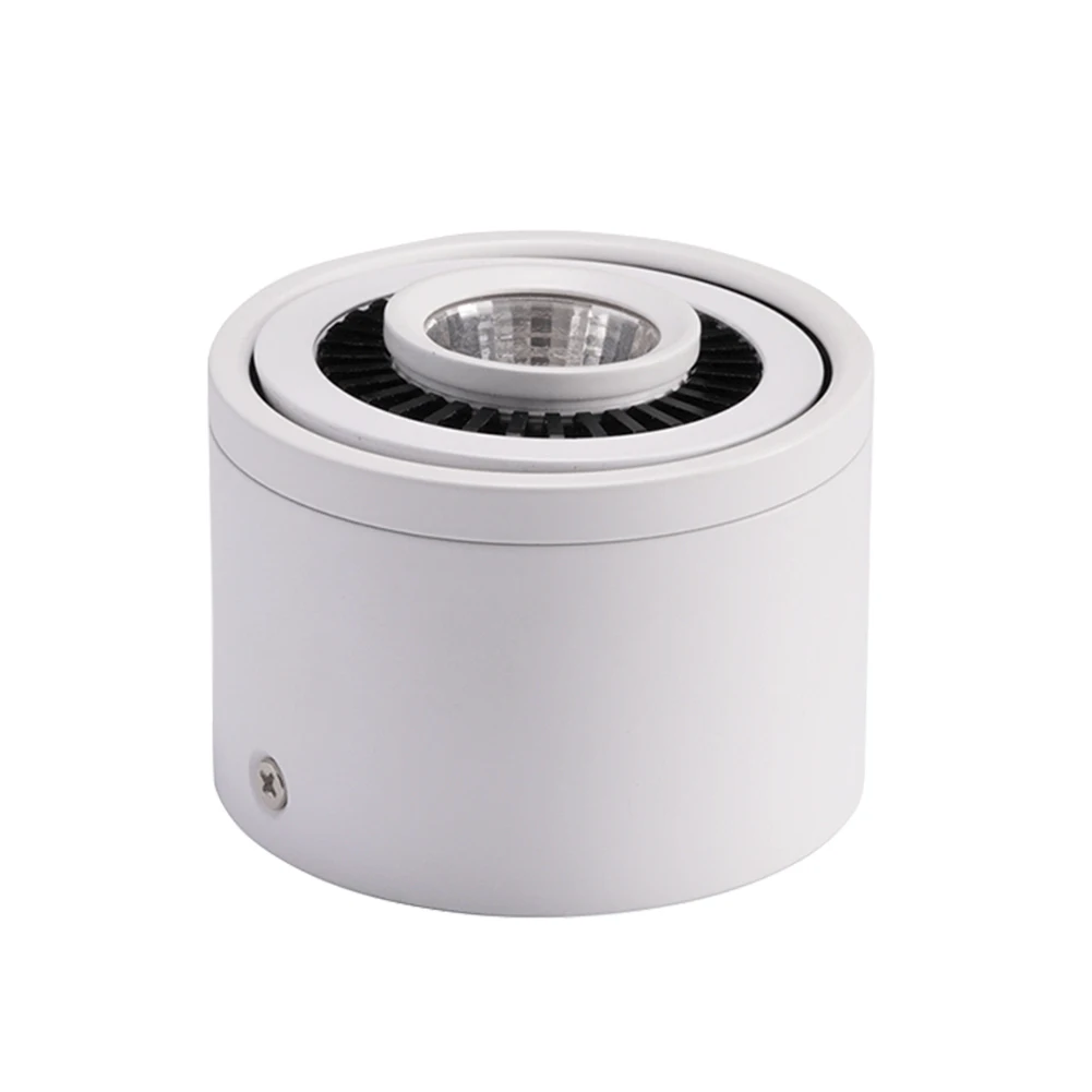 

Multipurpose Led Ceiling Rotatable Angle Indoor Hotel Soft Light Downlight Easy Install COB Coffee Shop Surface Mounted Gallery