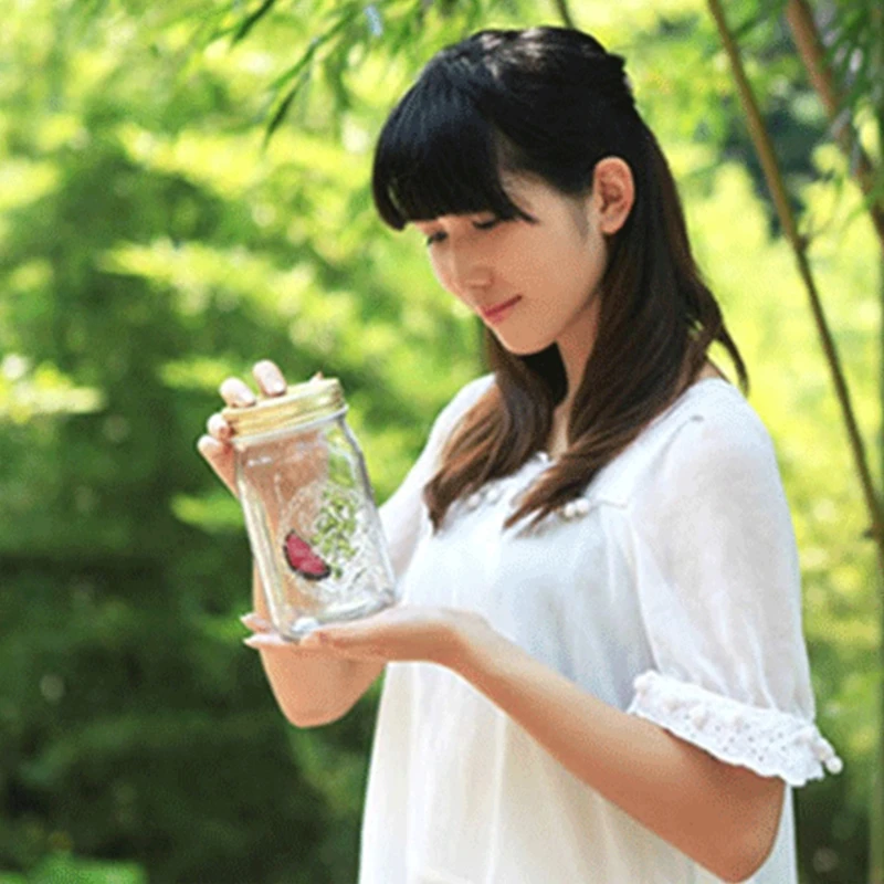 LED Animated Butterfly In A Jar Fluttering Amazing Collection Battery Operated
