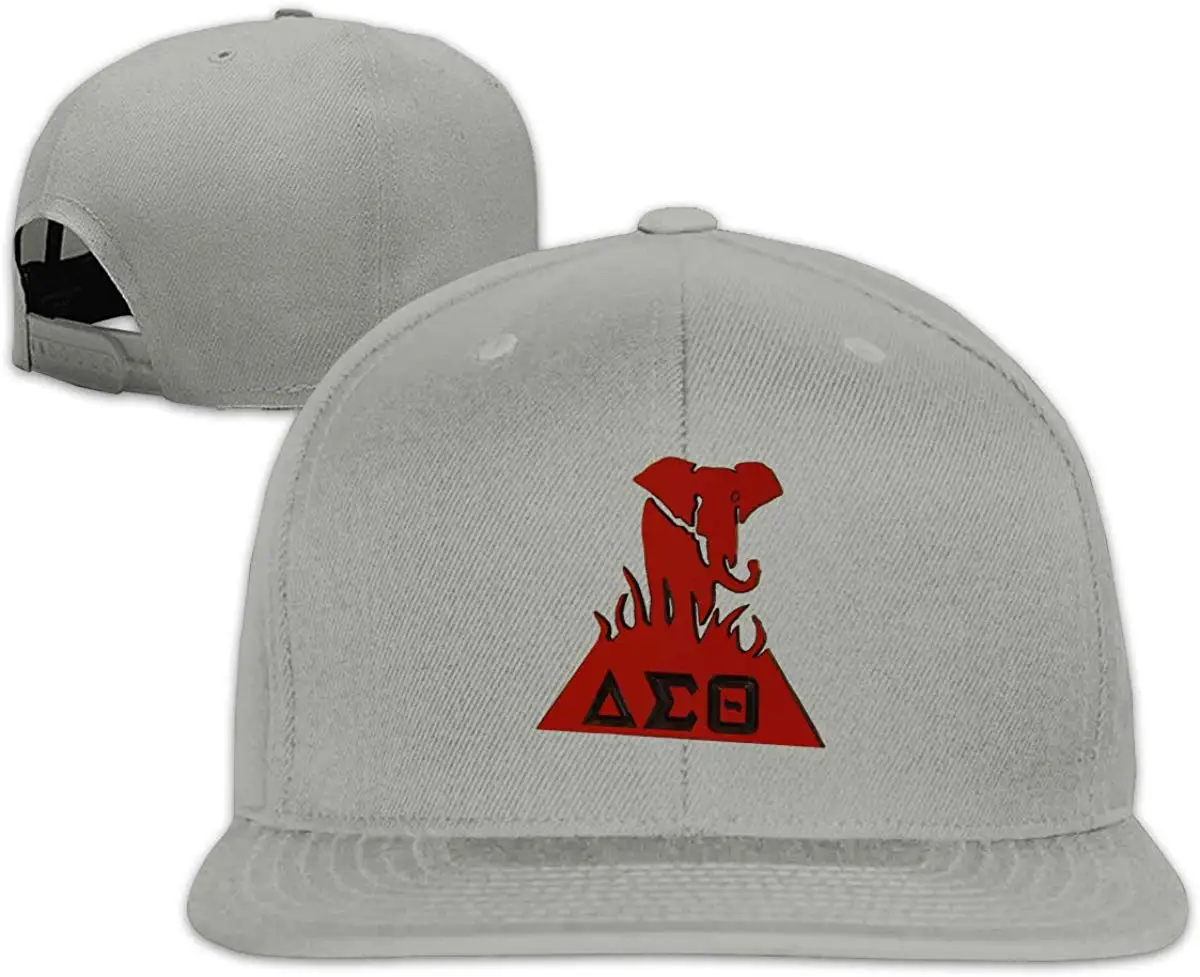 TSDFCMen& Woman Delta Sigma Theta Design плоская шляпа Регулируемая унисекс серая