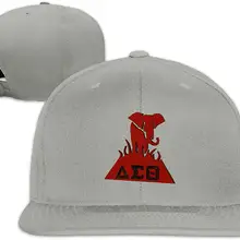 TSDFCMen& Woman Delta Sigma Theta Design плоская шляпа Регулируемая унисекс серая