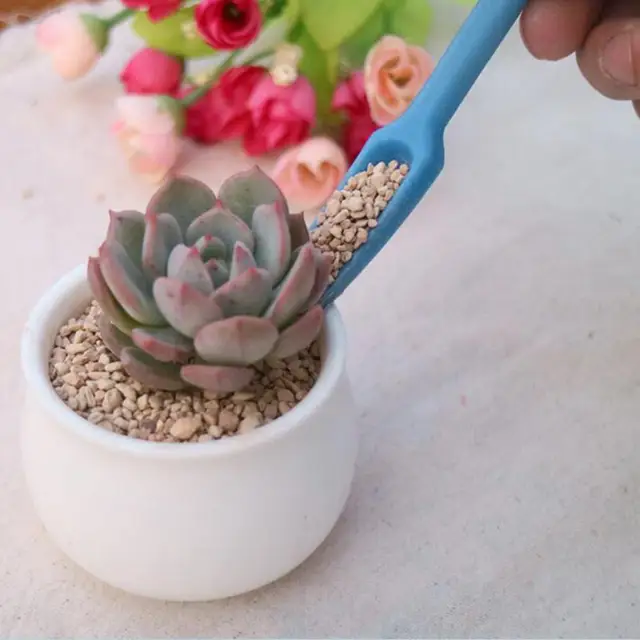 Plant Diy 2 Dcs Kerti Ültetvényes Készlet Tartozékok Szankulensek Transzplantációs Palánták Ültetett Szerszám Bonsai Műtrágya Fúrás De - Image 5