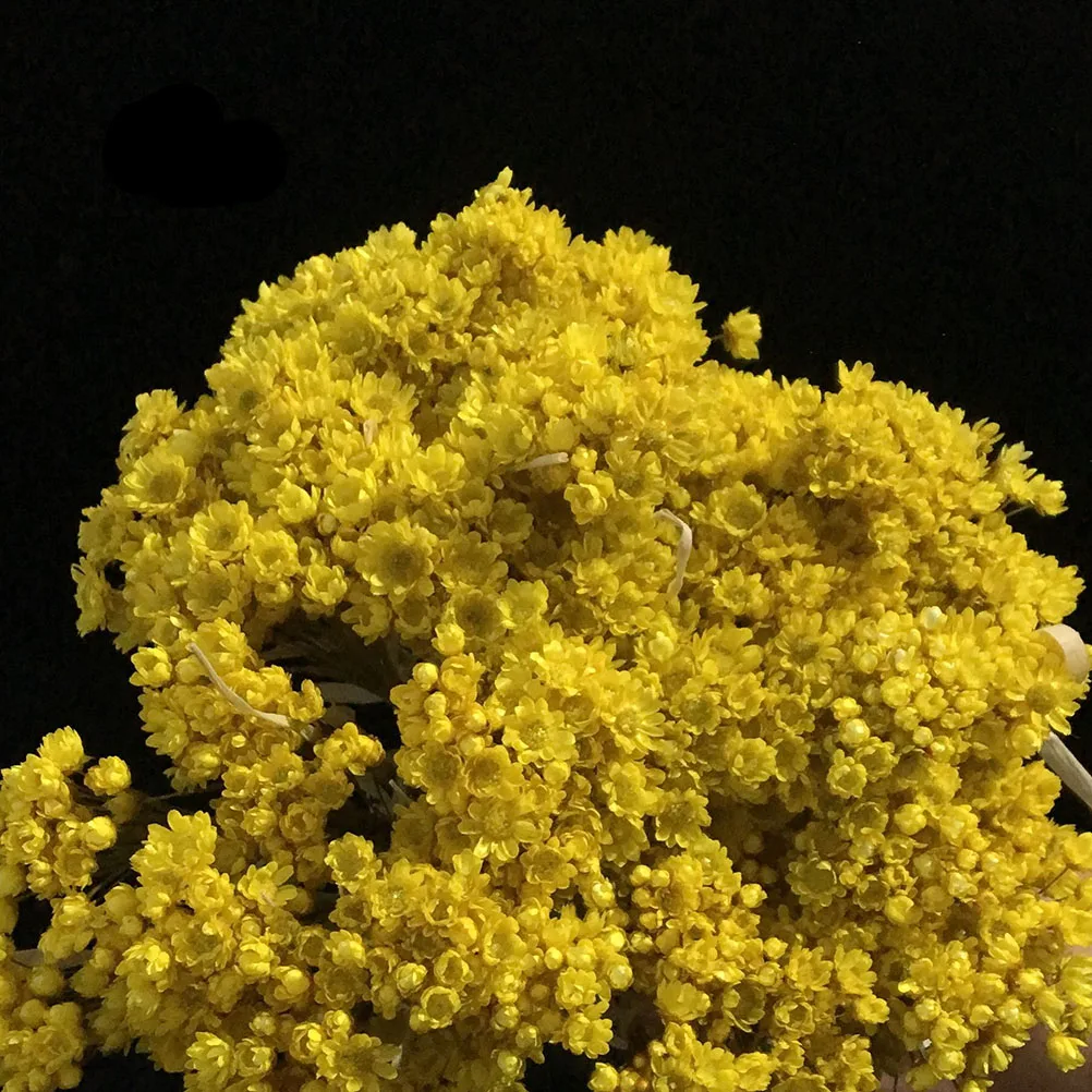 100 шт прекрасные маргаритки декоративные сушеные Искусственные цветы Гипсофилы натуральный цветочный для фотографии Свадебные украшения дома(желтый