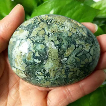 

Natural stone Marine jasper palm healing crystals Decorative collection stones and crystals