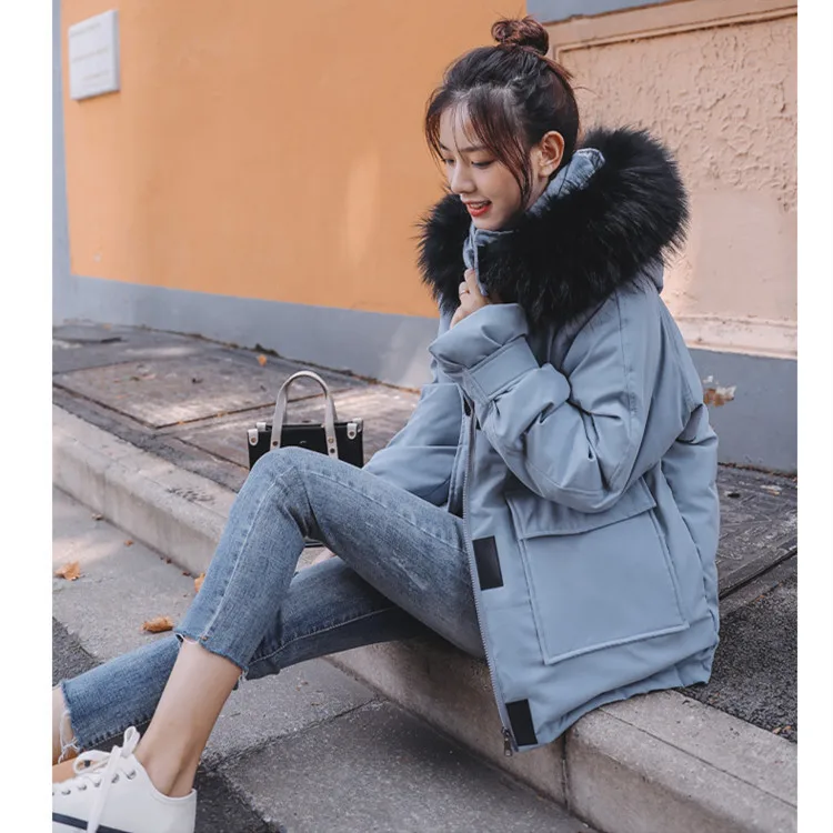 Photo Shoot New Style Autumn& Winter down Jacket Women's Short Loose-Fit Super Fire INS down Coat Cotton-padded Clothes Mi