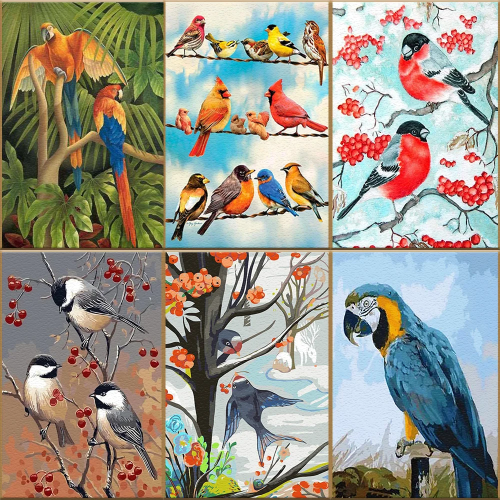 

Colorful Bird DIY Painting By Numbers Parrot Sparrow Swallow Pictures Decorative Canvas Paintings Handmade Artwork New Year Gift