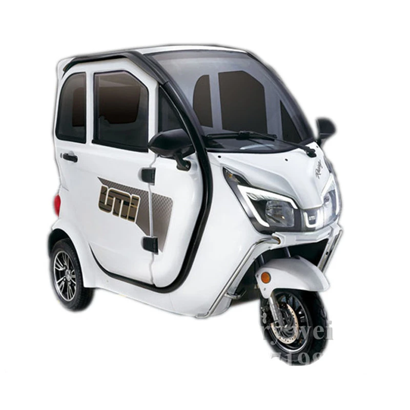 Fully Enclosed Adult Electric Tricycle Cargo Trike 3 Wheel Vehicle Passenger Mobility Scooter