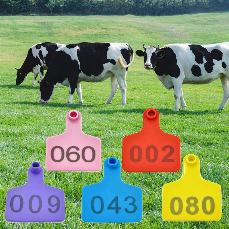 color naranja Etiquetas para orejas de ganado con diseño de vaca Farm & Ranch 001-100 