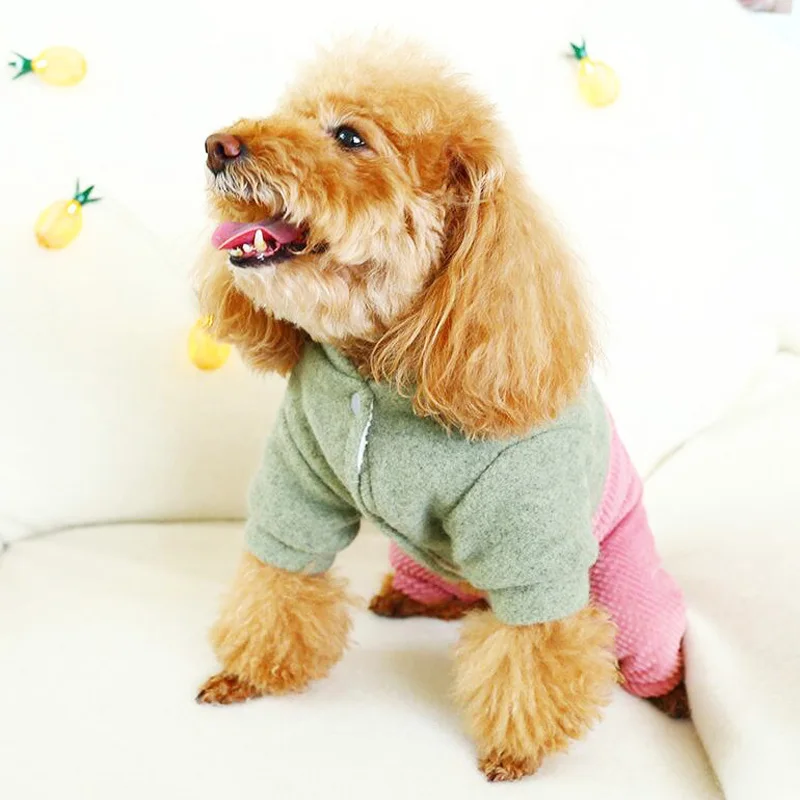 Petcircle модная зимняя хлопковая одежда для собак, теплый комбинезон для собак, одежда для щенков, двухногий Повседневный плюшевый костюм для пуделя