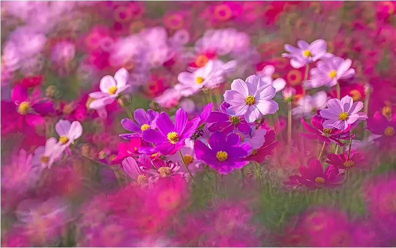 360Pcs Dustless White Drawing Chalk for School