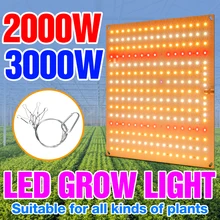 

LED Full Spectrum Plant Light 2835 Phyto Grow Lamp LED Hydroponic Bulb 2000w 3000w LED Greenhouse Quantum Board Planting Light
