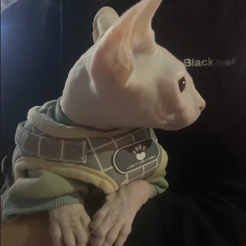 O1CN01fjyX9w28OKDMs2C8z_!!0-rate