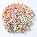 Multicolor daisy
