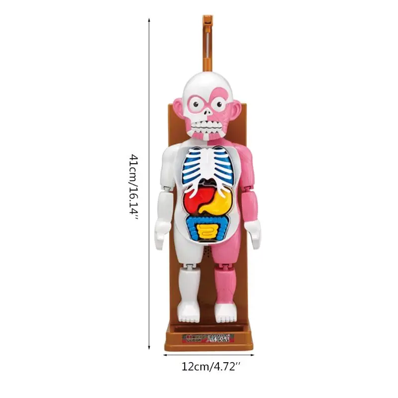 Детская развивающая игрушка-манекен-головоломка для обучения человеческим органам 72XC