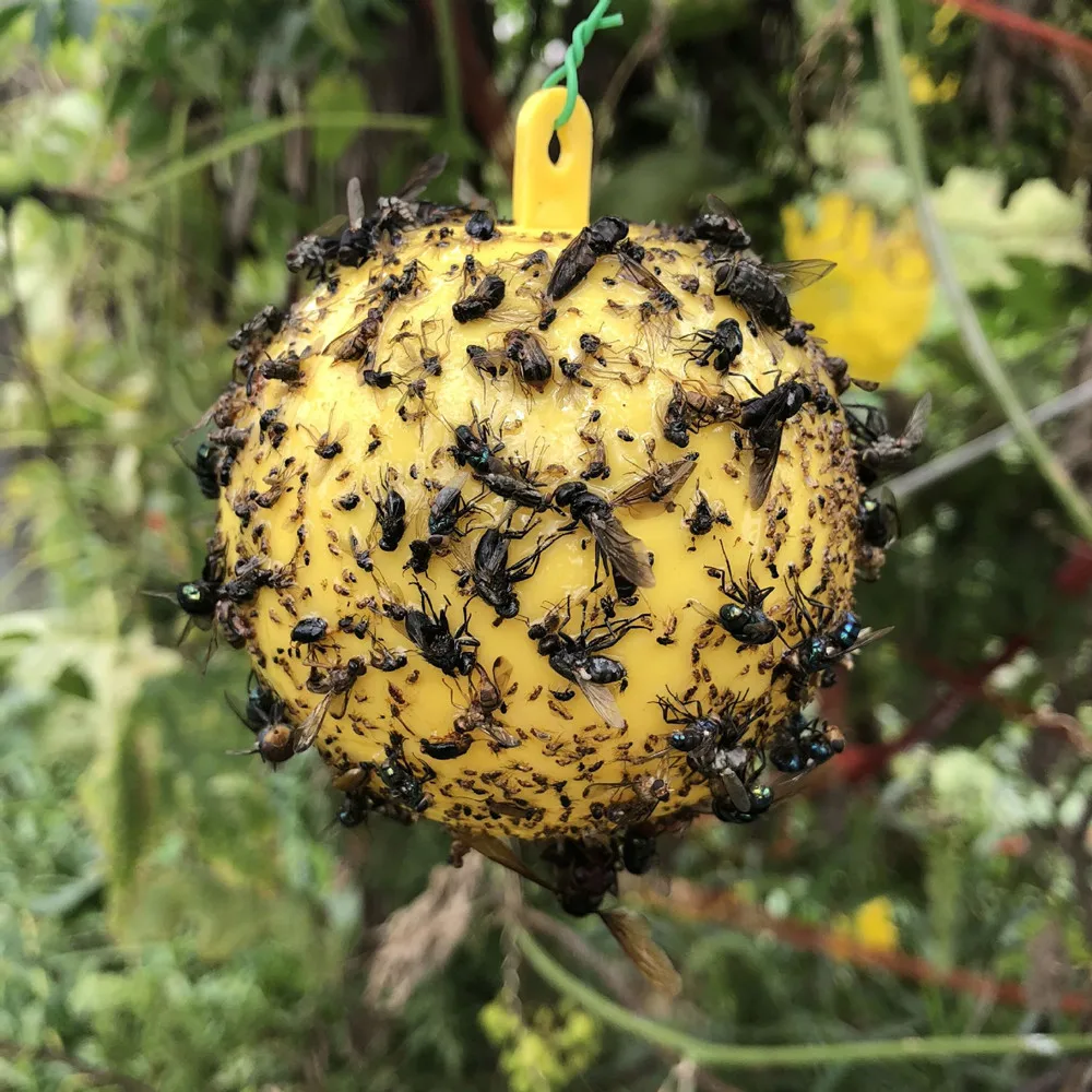 Hanging Fly Trap Ball Fruit Catcher Sticky Outdoor Disposable Wasp Bee Yellow Jacket Yellowjacket | Дом и сад