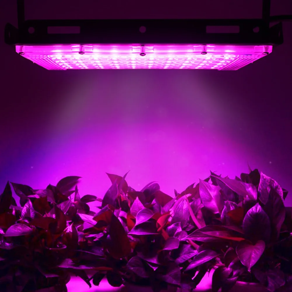 5cad97550879d955283374847f5987aa