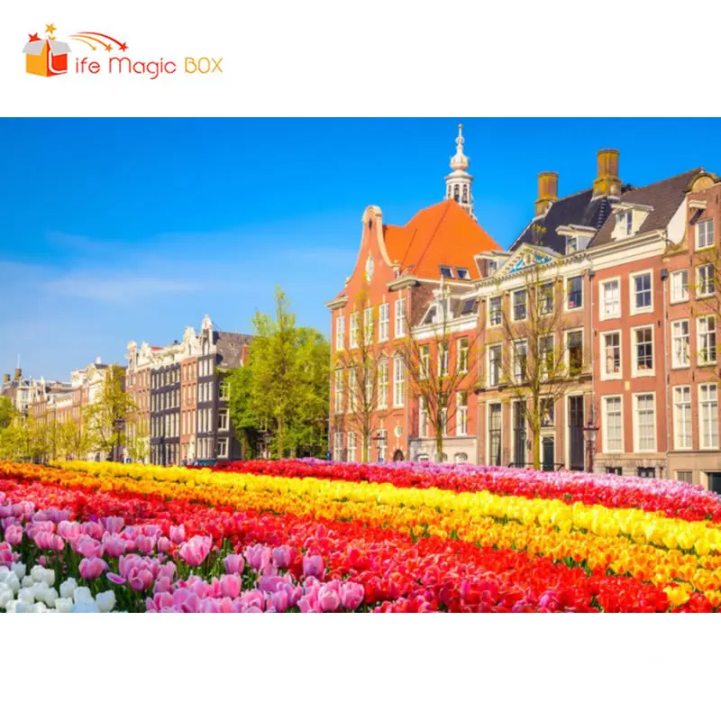 Sfondo Photography Fiori Casa Woodland Bambino Scenic Flanella Spray Dipinto Video Studio Fondali