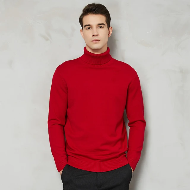 Holemee New Mens Autumn Turtleneck Sweater Printed in Pure Colour 