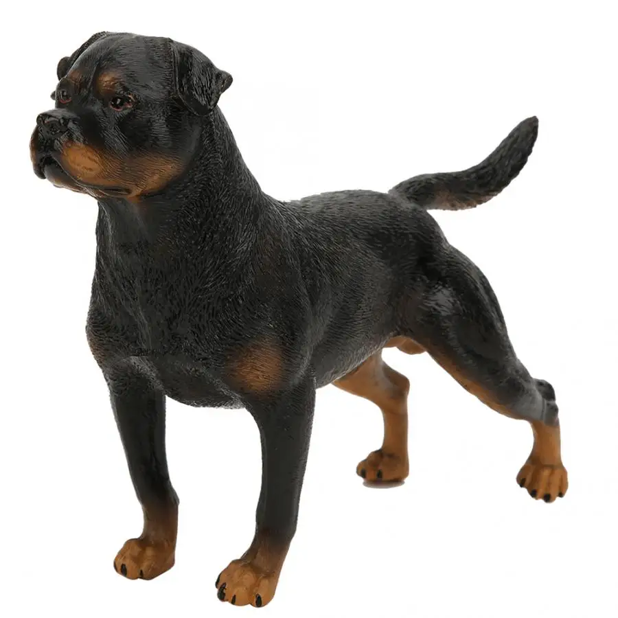 ロットワイラー？　置物　 フィギュア　犬の置物　インテリア　オブジェ　レア　希少 Amazon | Mr.Z 1/6 サイズ ロットワイラー 犬 動物 模型