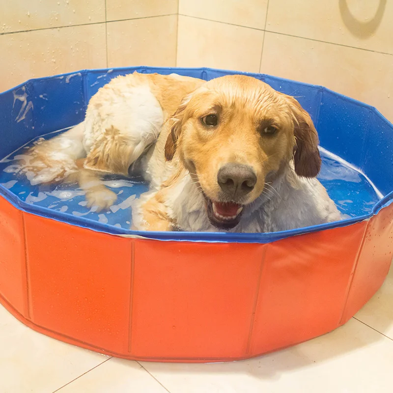 

Pet Dog Bathtub Folding Basin For Dogs Cats Puppy Kitten Shower Swimming Pool House Bed Strong Bathing Washing Teddy Hot New