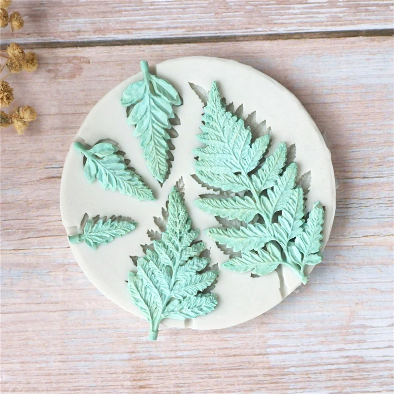 10743768479_1389648559