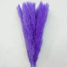 

15Pcs/bundle Wedding ,Home .Small Pampas Grass Flowers Natural Plants Real Decoration Black, Pink, White, Primary Colors