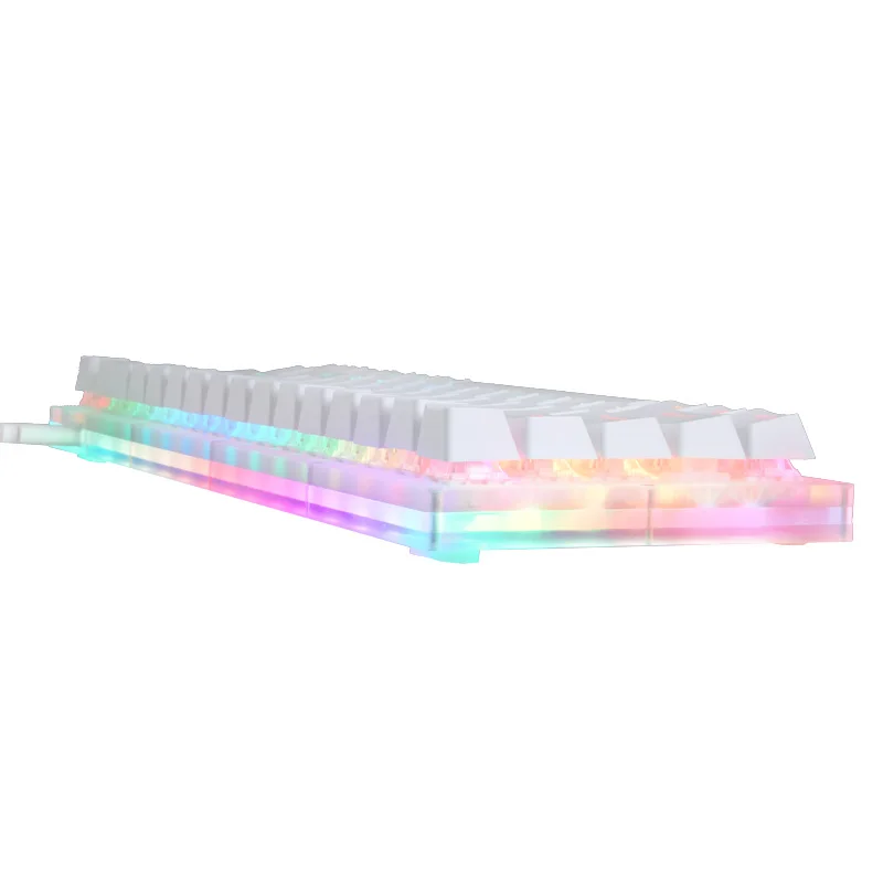 Keyboard 66Key Tyce-C Wired RGB Backlit Gateron Switch Mechanical Gaming Keyboard With Crystal Base For PC Laptops