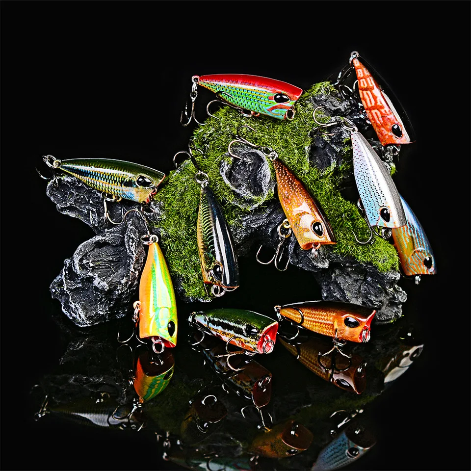 DW1120_01.jpg
