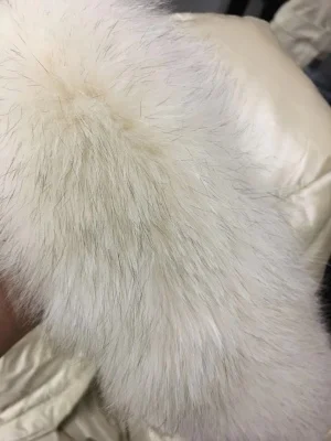 O1CN01bSYLTV1jENCvb5HMr_!!0-rate.jpg_400x400