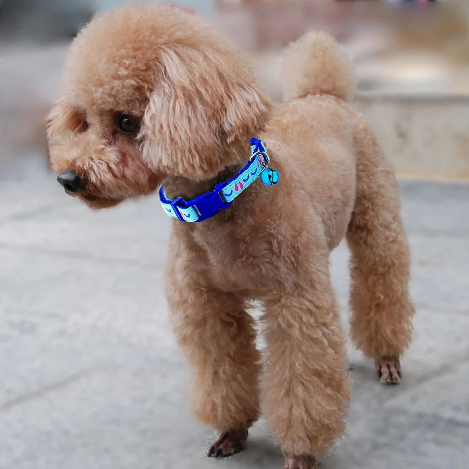 Dog Collar Pet  Adjustable Cat Collar with Bell Puppy Necklace for Cat Small dog Pet Supplies Pet Accessories