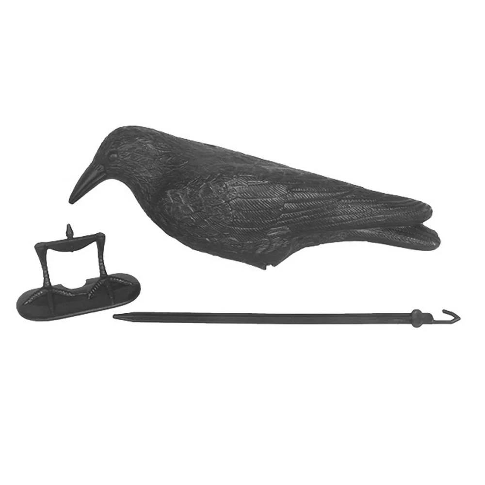 455304_bcad25378ee94832839afefe53d7b8f1