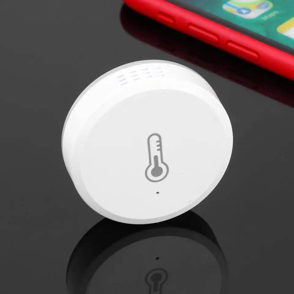 alexa intelligent home