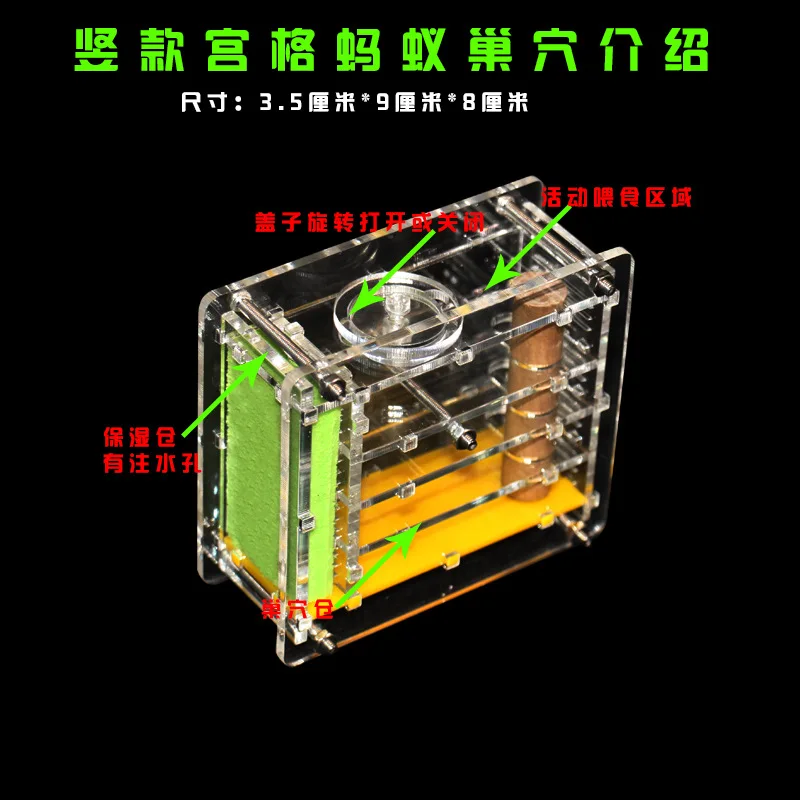 Insect Grate Lair Transparent Acrylic Box Ant Farm Feeding Ornament Box Eco Pet Nest Gift