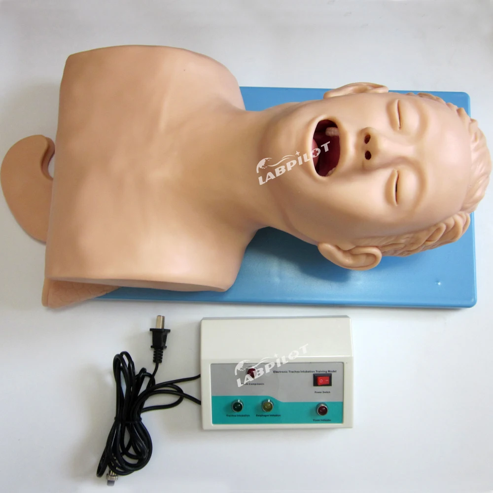 Human Electronic Tracheal Intubation Training Model 220V,Intubation Manikin Teach Model Oral Nasal Demo PVC Airway Management Teaching Trainer Study Hot Tracheal Simulator 