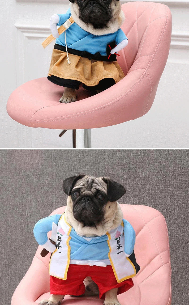 9188287988_291311941