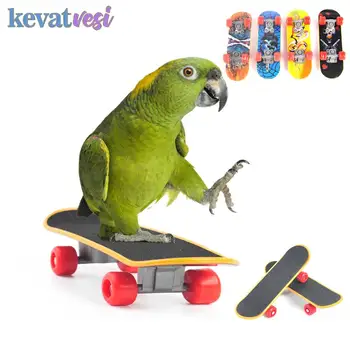 Bird-Toys-Funny-Mini-Skateboard-Parrot-Toy-training-Skateboard-Budgies-Parakeet-Growth-Toy-Pajaros-Intelligence-Bird.jpg