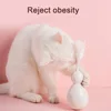 Pet Products