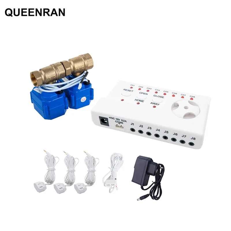 Best Quality Cheap Water Leakage Detector For Smart Home Security with 2pcs DN15 WLD-806 Water Leakage Flood Overflow Sensor