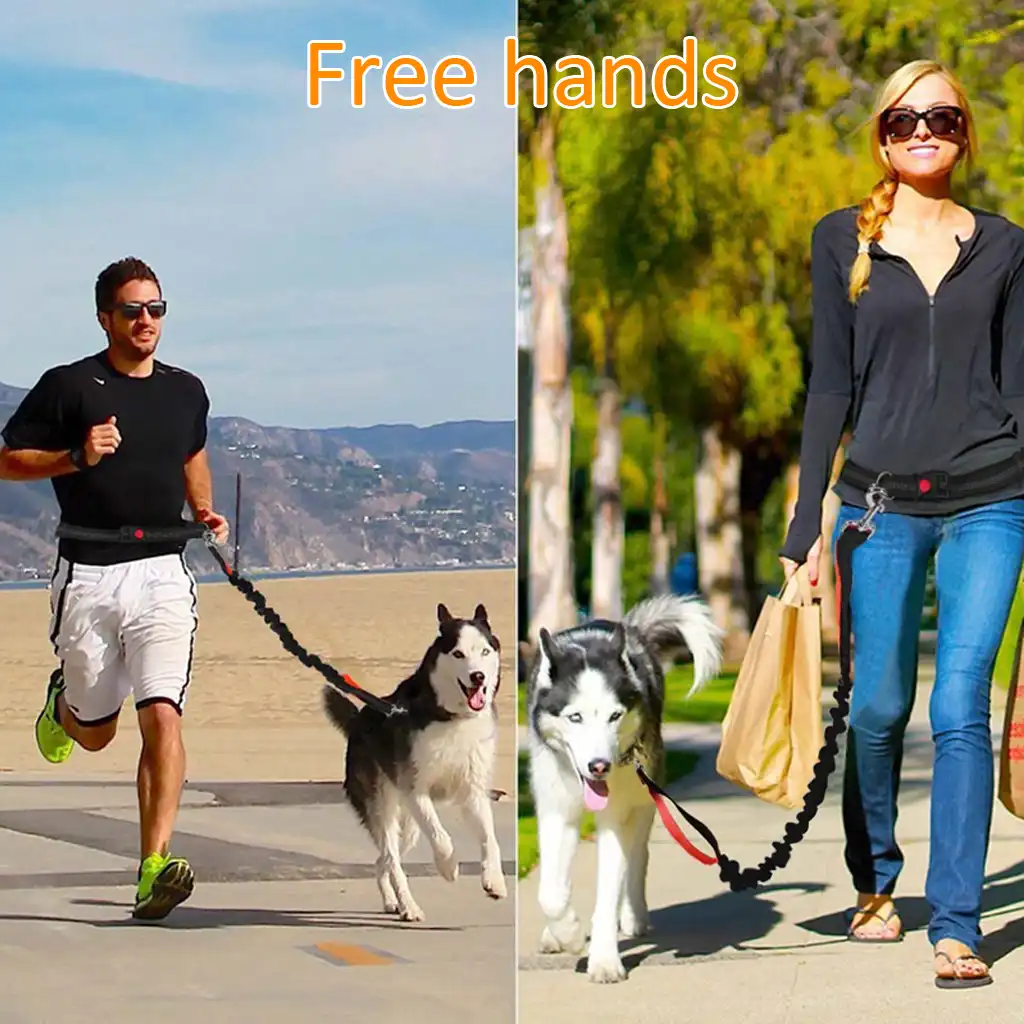 dog jogging harness