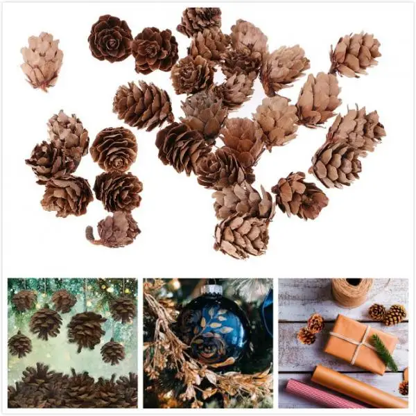30 Pcs Naturally Mini Decorative Pinecone Pine Cones Vase Bowl Filler Displays Crafts Christmas House Tree Hanging Ornament
