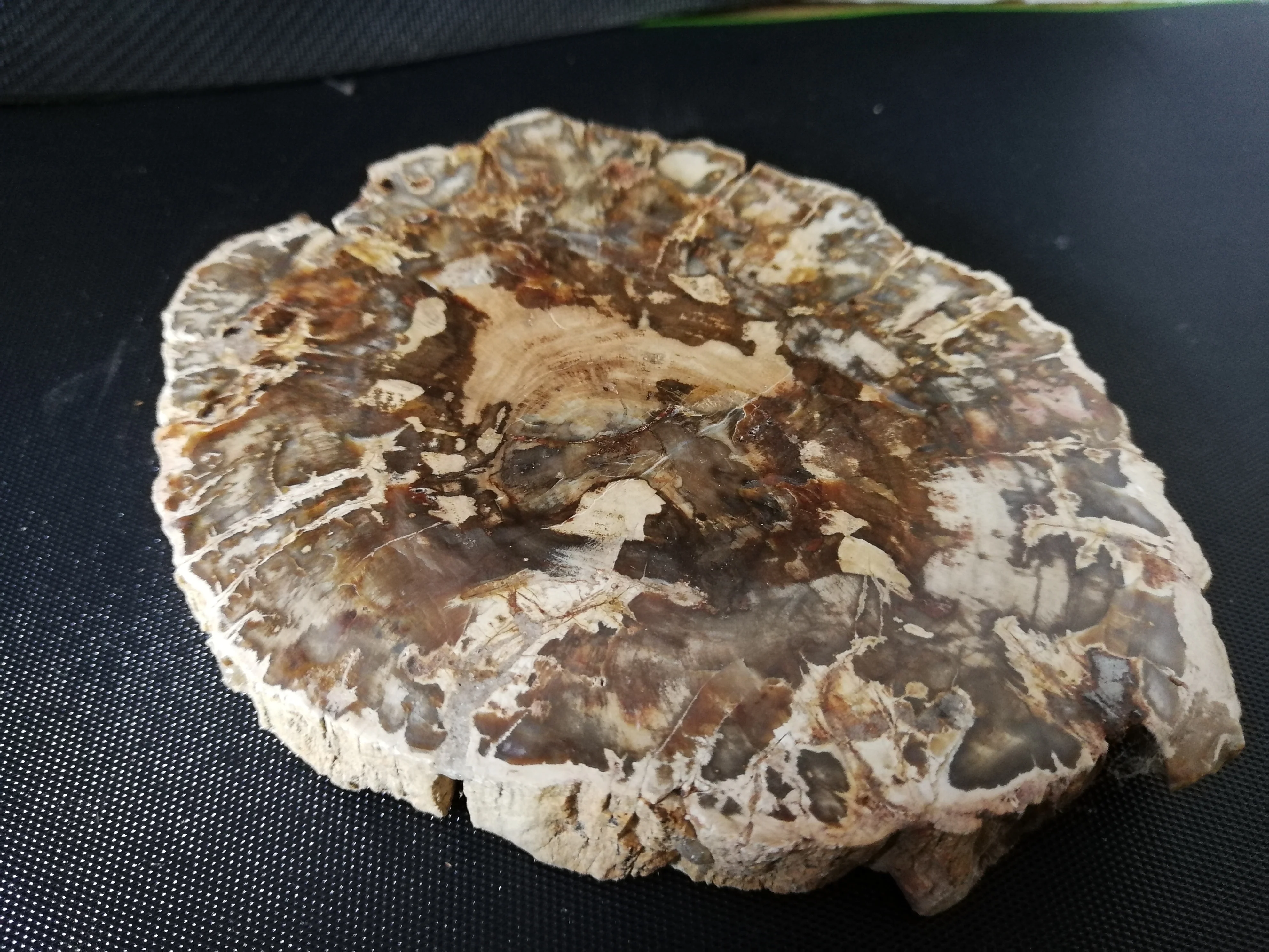 350 7 gNatural fossil деревянные чипы кварцевый кристалл агатовый цветок каменные